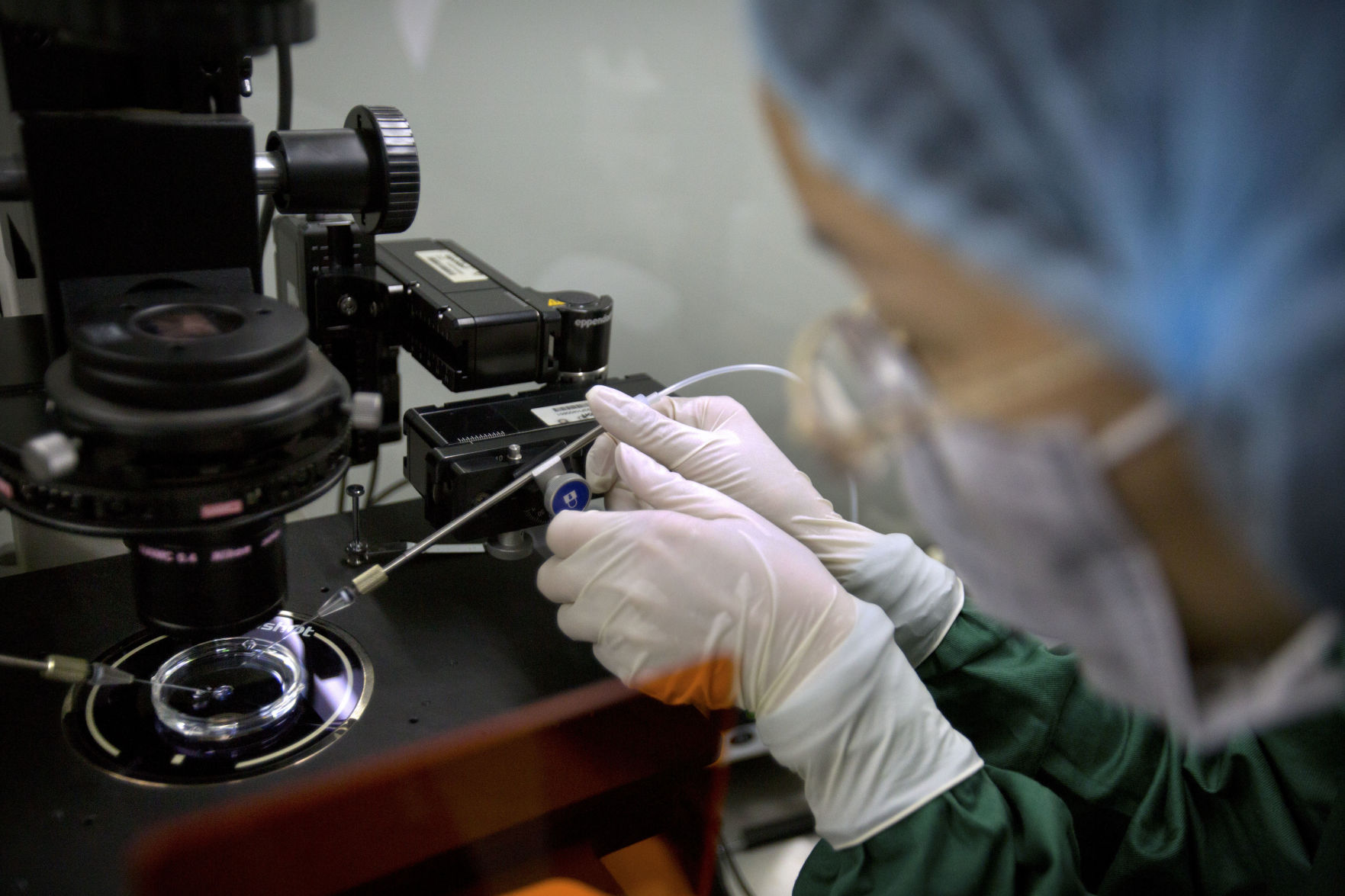 China Gene Edited Babies